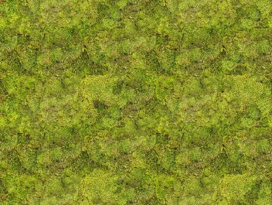 Обои для стен Mr Perswall Daily Details p192801