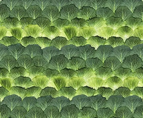 Обои для стен Mr Perswall Daily Details p193001