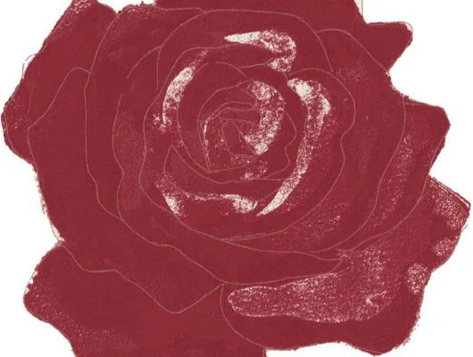 Обои для стен Mr Perswall Accessories dm212-1