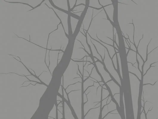 Обои для стен Mr Perswall Accessories dm215-1