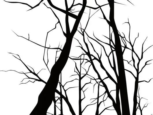 Обои для стен Mr Perswall Accessories dm215-2