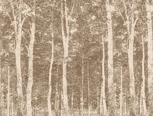 Обои для стен Mr Perswall Accessories dm216-1