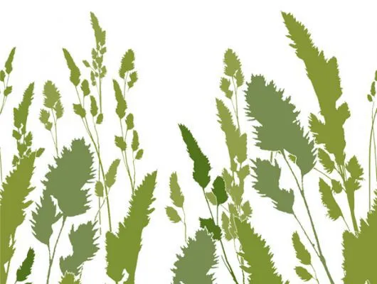 Обои для стен Mr Perswall Accessories dm220-3