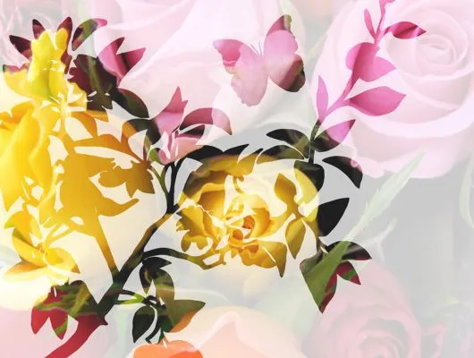 Обои для стен Mr Perswall Creativity & Photo Art p011301-6