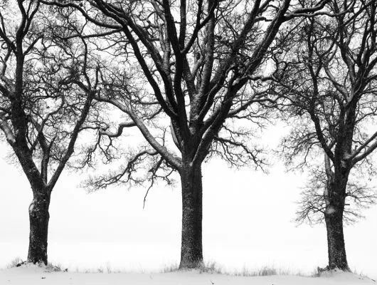 Обои для стен Mr Perswall Creativity & Photo Art p020501-9