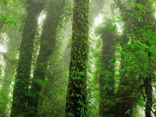 Обои для стен Mr Perswall Destinations p111701-8