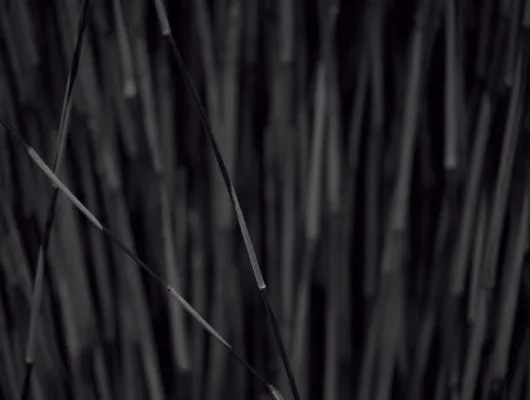 Обои для стен Mr Perswall Photo dm318-1