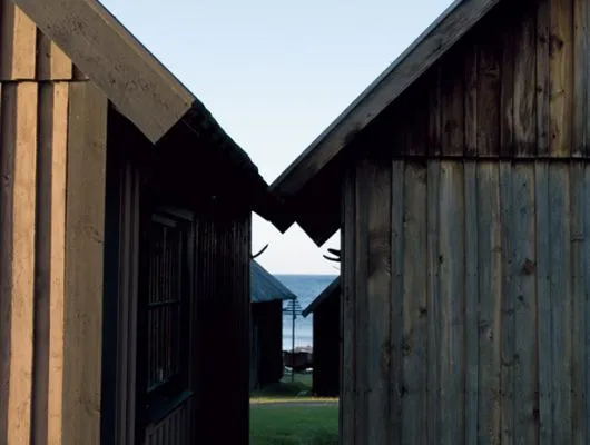 Обои для стен Mr Perswall Photo dm321-3