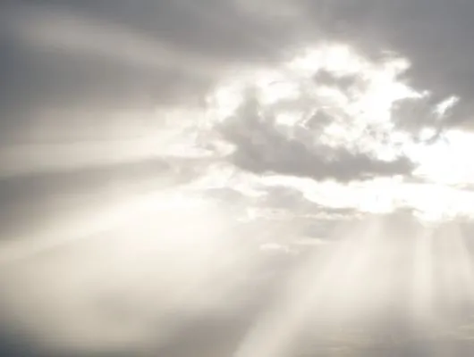 Обои для стен Mr Perswall Photo dm325-1