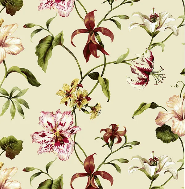 Обои для стен Jaima Brown Charleseton Home jb50106