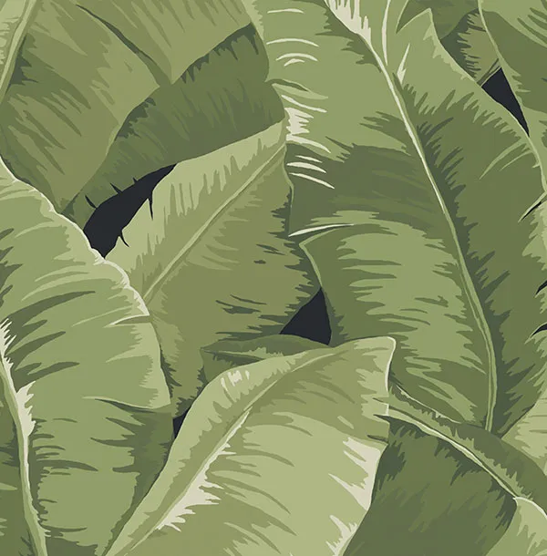 Обои для стен Jaima Brown Charleseton Home jb50700