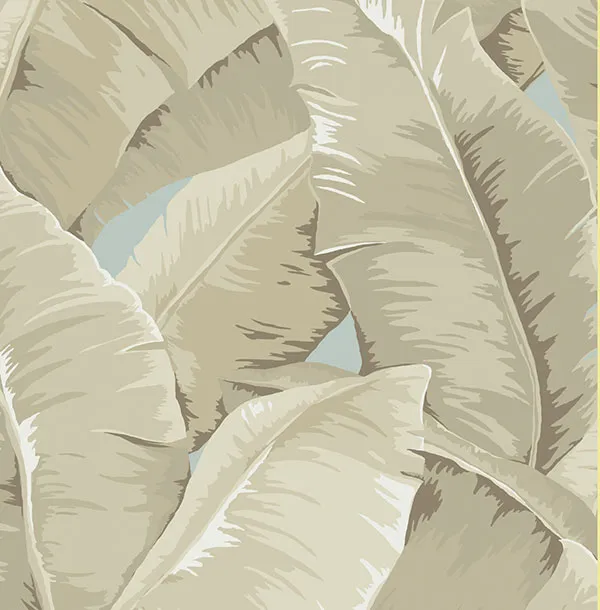 Обои для стен Jaima Brown Charleseton Home jb50702