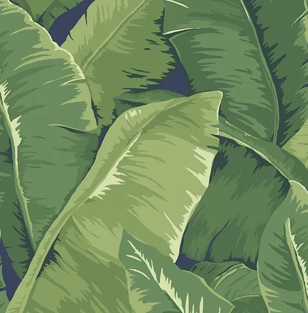 Обои для стен Jaima Brown Charleseton Home jb50712