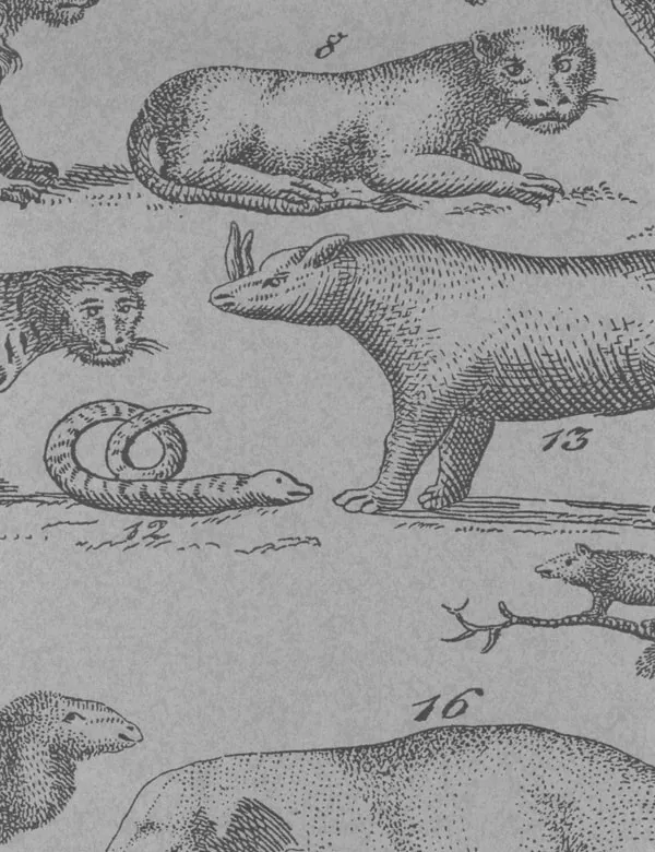 Обои для стен Andrew Martin Museum ark-cloud