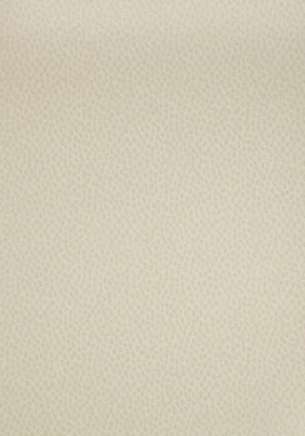 Обои для стен Anna French Lyric 1411 AT