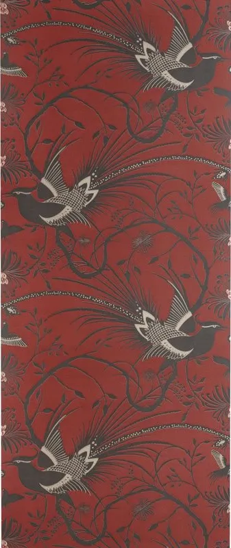 Обои для стен Catherine Martin Australia 10792-116