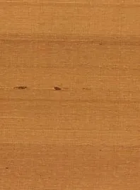 Обои для стен Phillip Jeffries Silk Japanese Silk