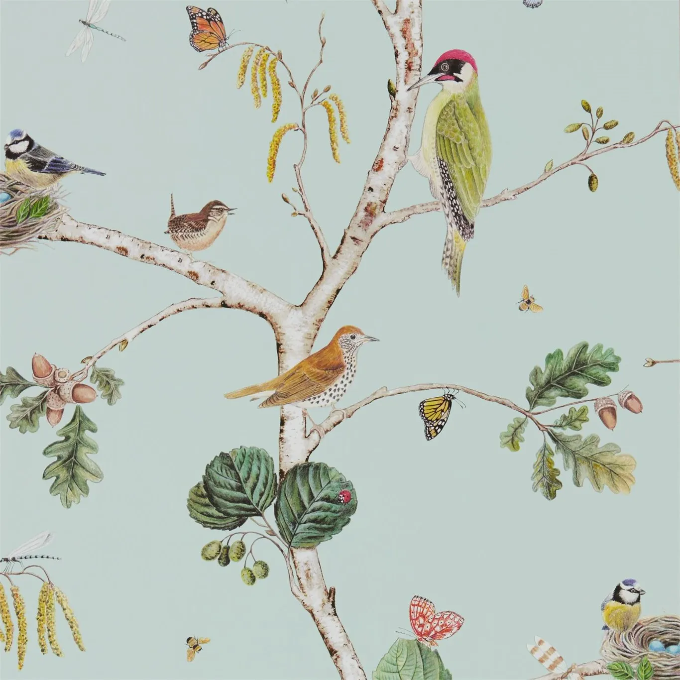 Обои для стен Sanderson Woodland Walk 215706