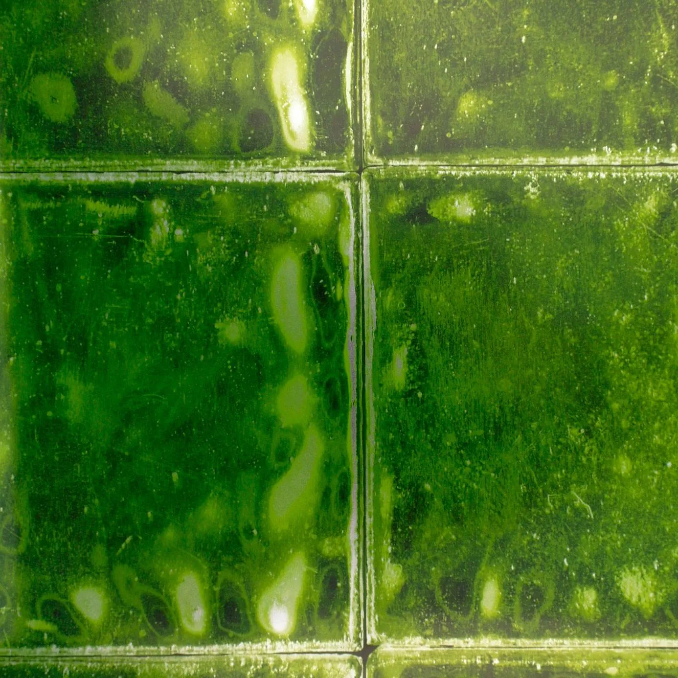 Обои для стен Designers Guild Palasini PDG646-04