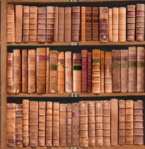 Обои для стен Paper Partnership University of Oxford Archives vol.1 IWB00844