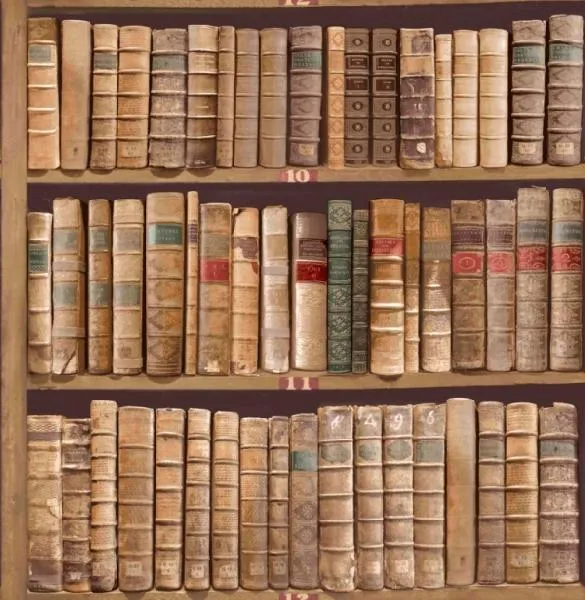 Обои для стен Paper Partnership University of Oxford Archives vol.1 IWB00847