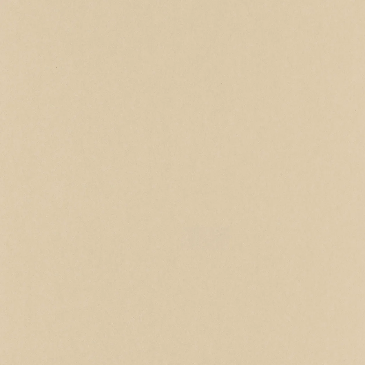 Обои для стен Caselio Silence 58851120