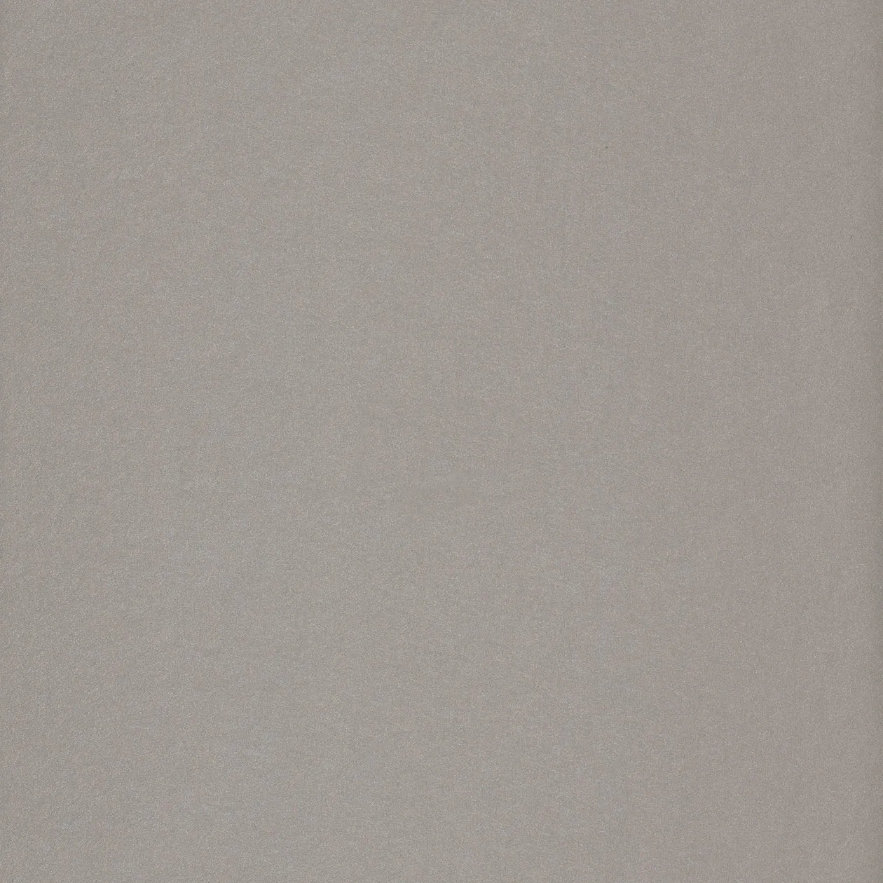 Обои для стен Caselio Silence 58859020