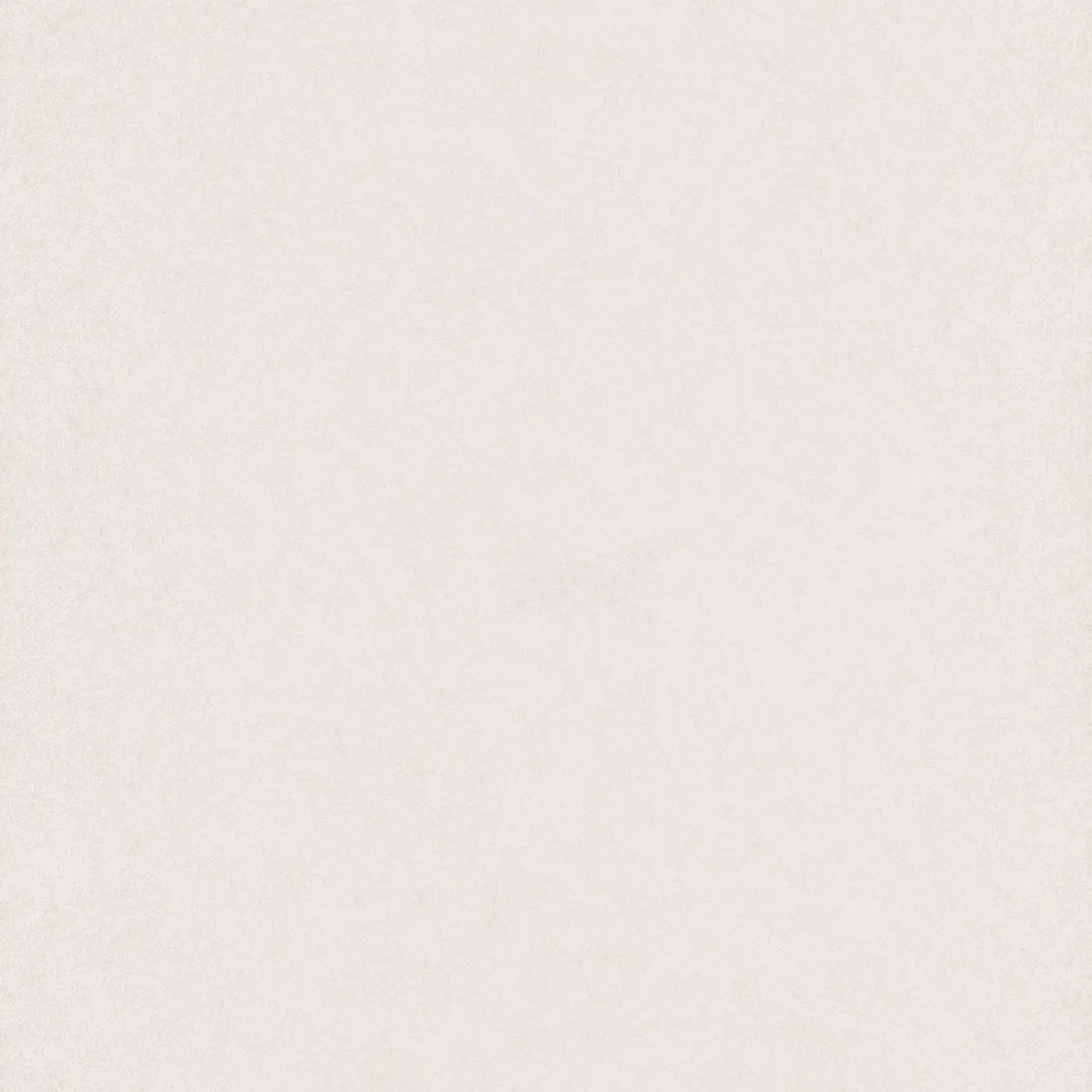 Обои для стен Caselio Silence 62940003