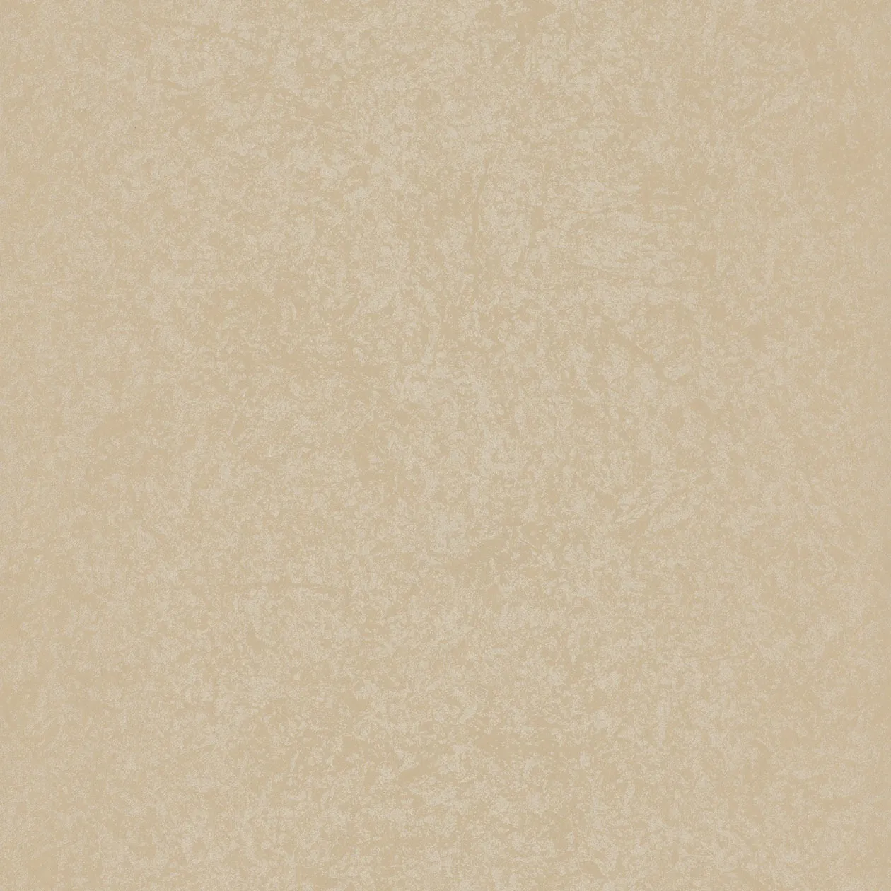 Обои для стен Caselio Silence 62941015