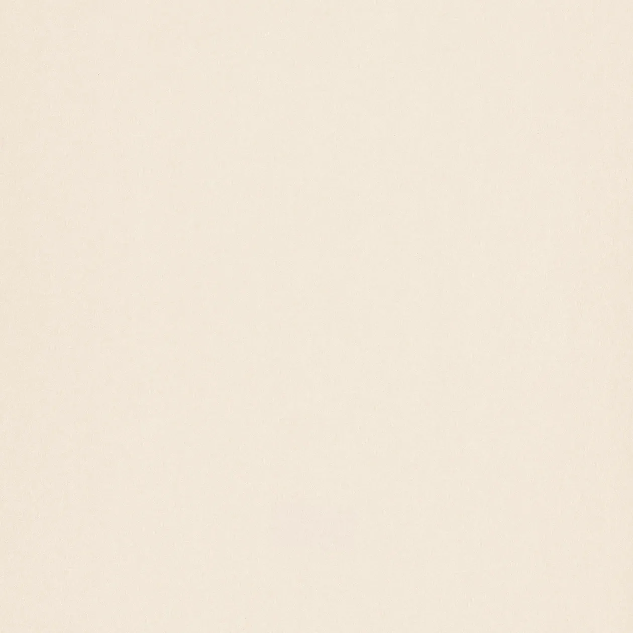 Обои для стен Caselio Silence 63529160 #1