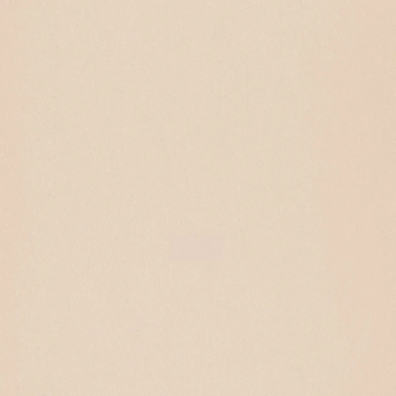 Обои для стен Caselio Silence 63529230 #1