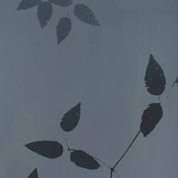 Обои для стен Fiona Wall Design Nordic Blossom 390003