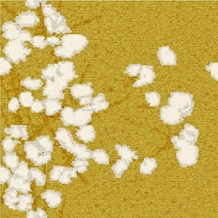 Обои для стен Elitis Glass VP 645 06