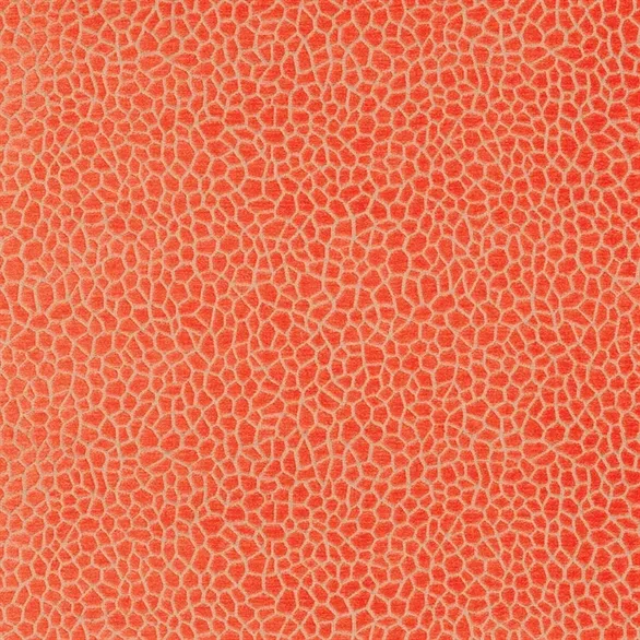 Ткань Matthew Williamson Samana F6632-06