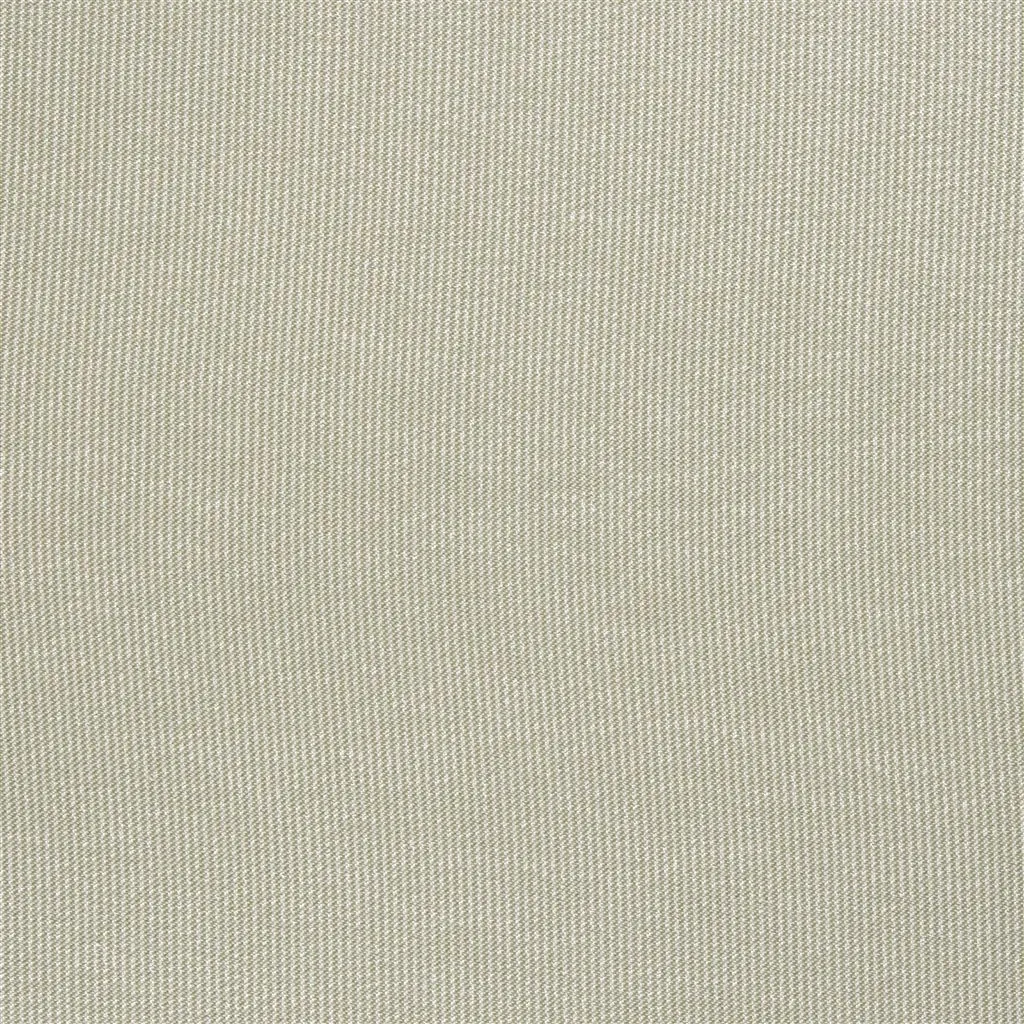 Ткань Designers Guild Satinato II F1555/07