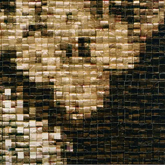 Обои для стен Elitis Parade VP 847 01