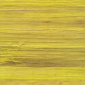 Обои для стен Elitis Robinson RM 902 21