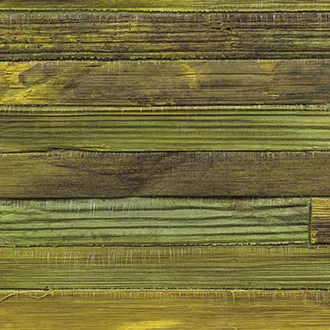 Обои для стен Elitis Robinson RM 903 62