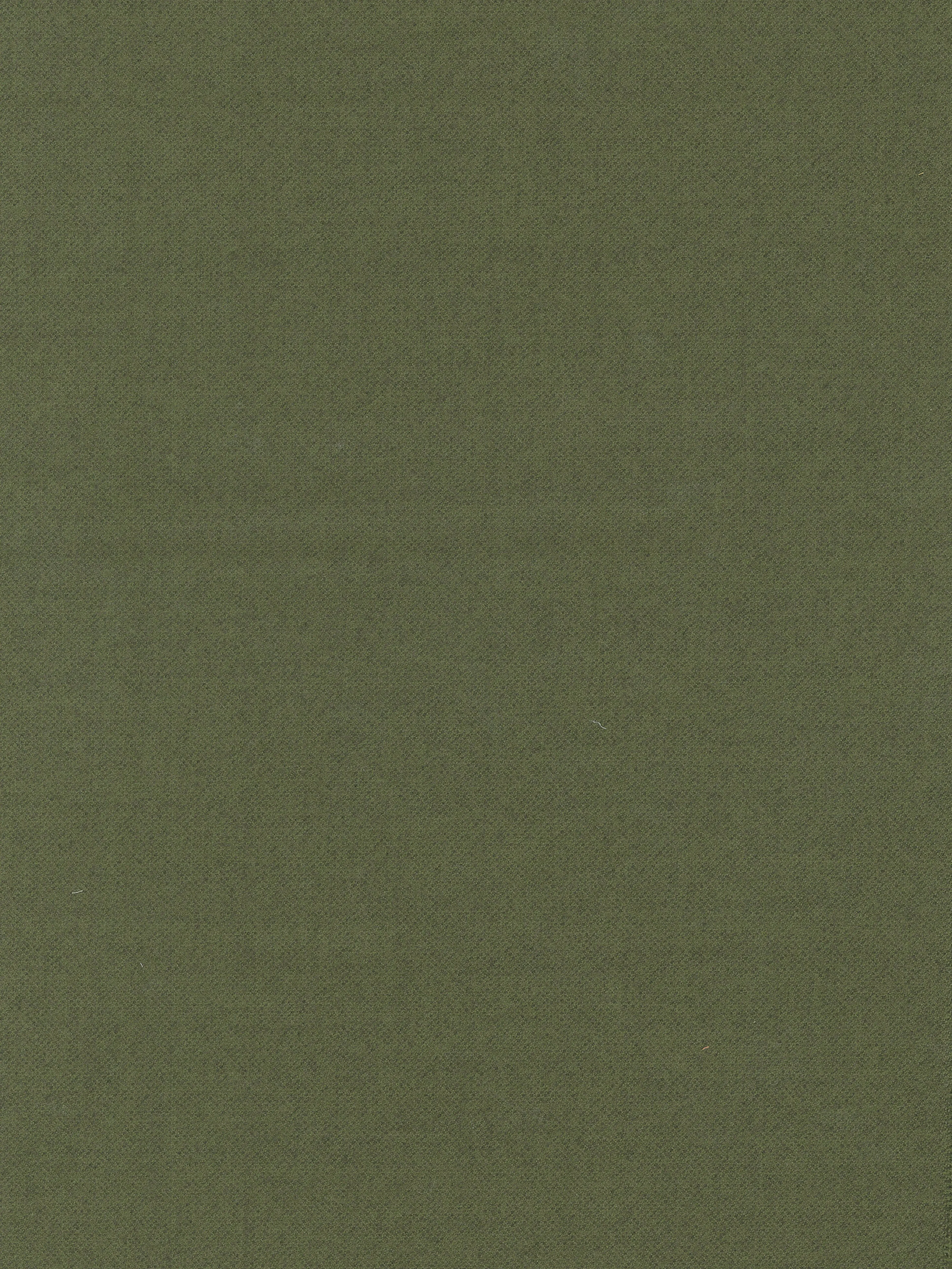 Ткань Fortuny Velvets & Wools FF-20116