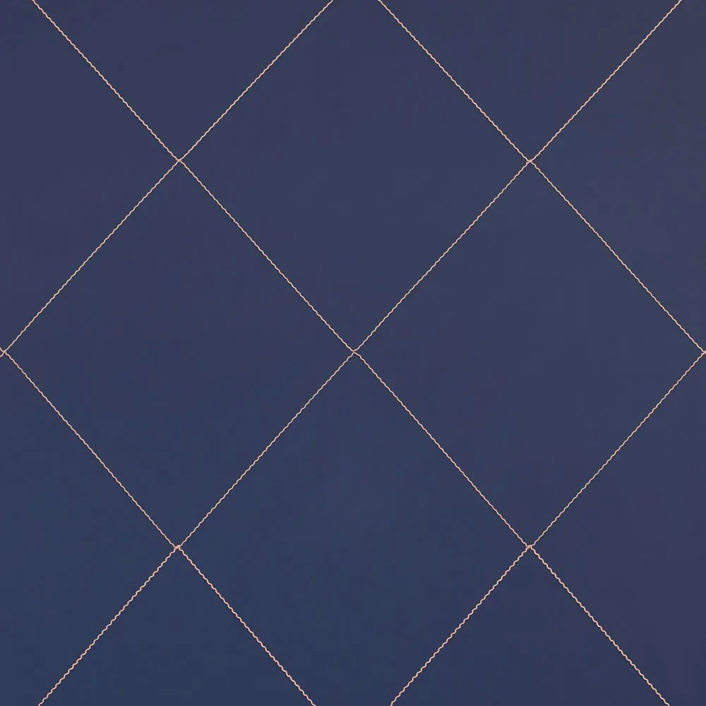 Ткань Dedar Patterns stripes embroideres DIAMOND 120 921