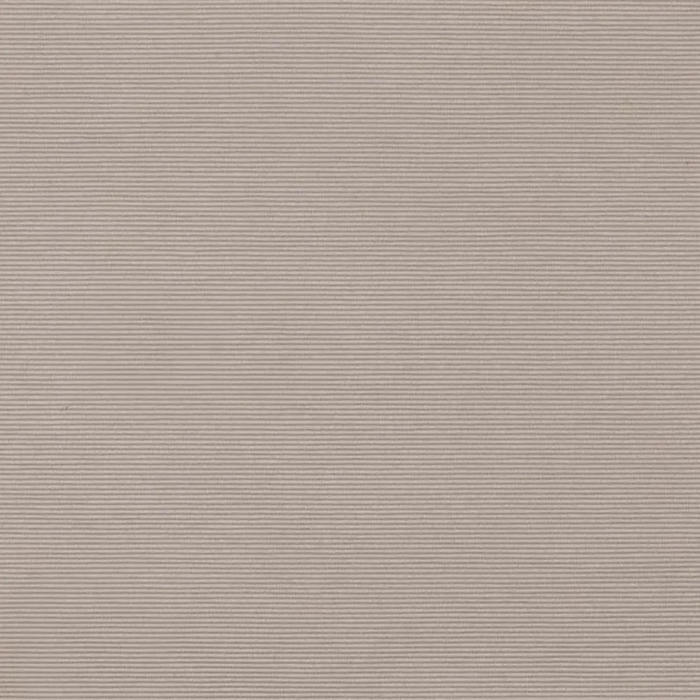 Ткань Dedar Plains PASSEPARTOUT 010