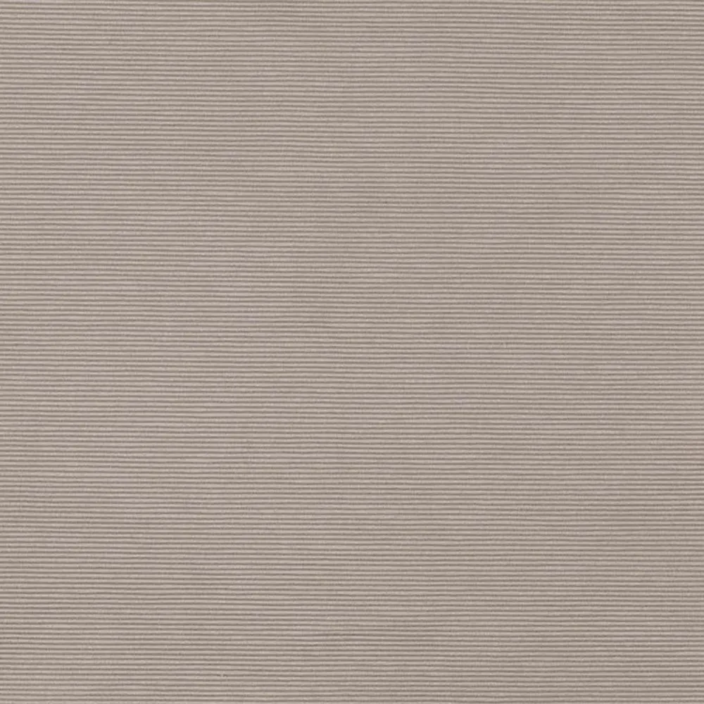 Ткань Dedar Plains PASSEPARTOUT 011