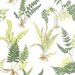 Ткань Thibaut Signature Prints F72711