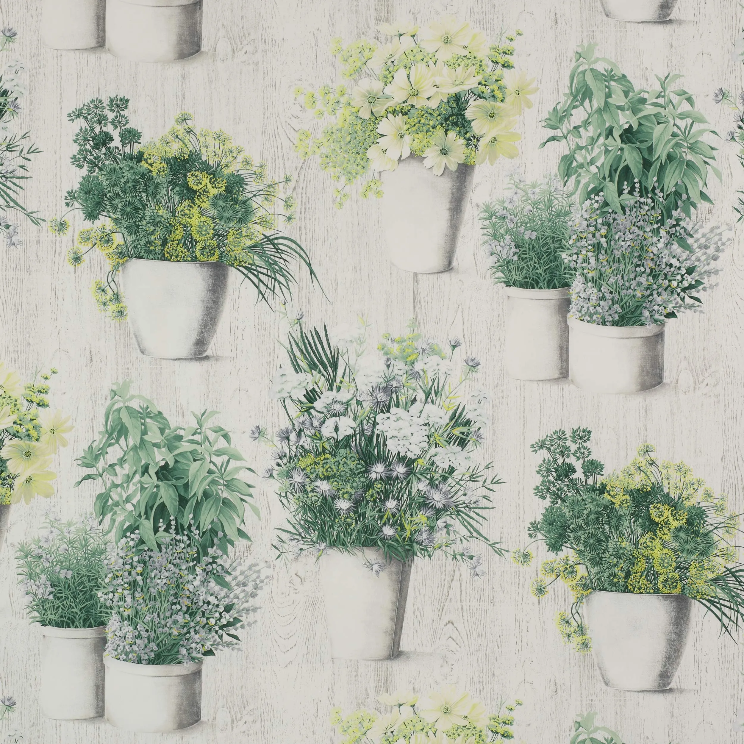 Ткань Manuel Canovas Manon 04762/01