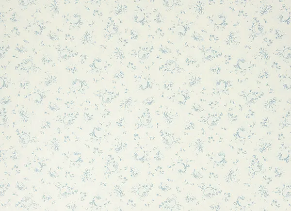 Ткань Ralph Lauren Coast FRL033/02