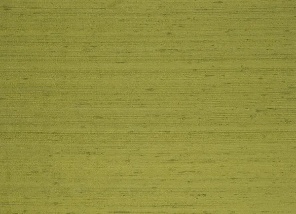 Ткань Designers Guild Chinon F1165/155