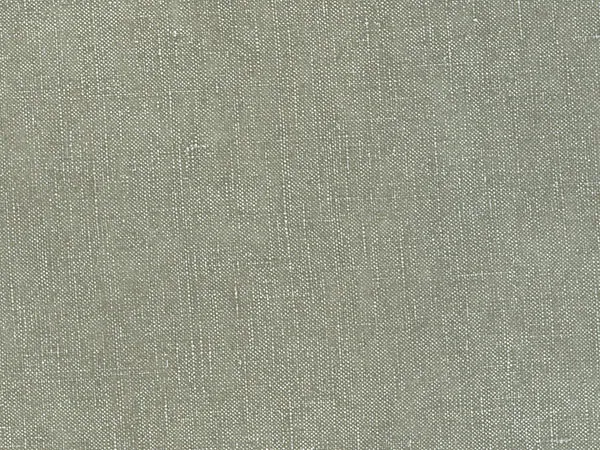 Ткань Designers Guild Moselle F1420/24