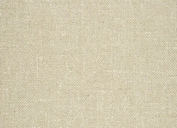 Ткань Designers Guild Moselle F1963/01