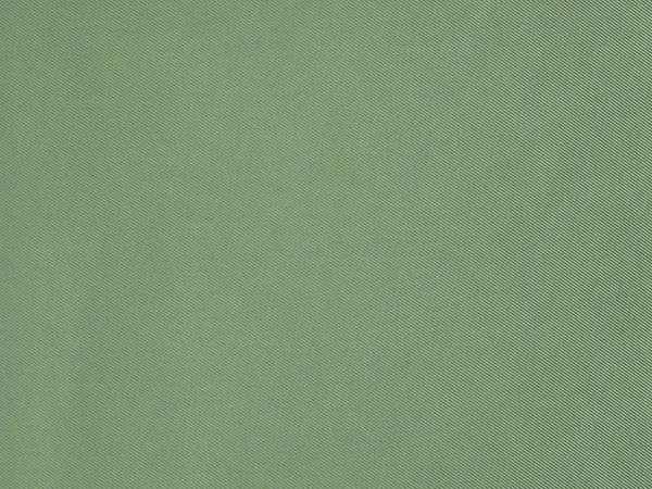 Ткань Designers Guild Satinato F1505/25