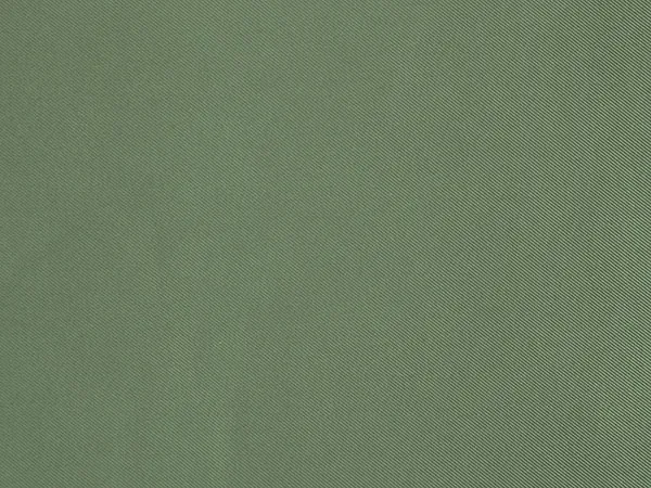 Ткань Designers Guild Satinato F1505/22